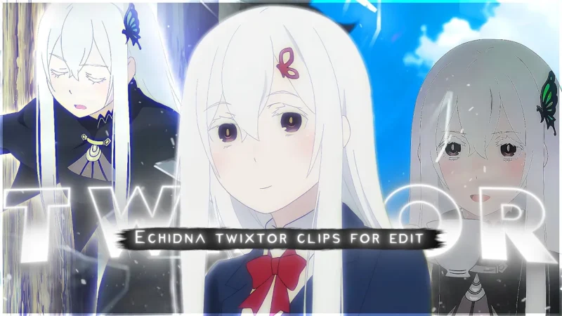 Echidna Twixtor 4K
