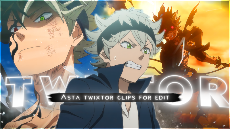 Asta Twixtor 4K