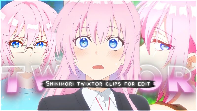 Shikimori Twixtor 4K