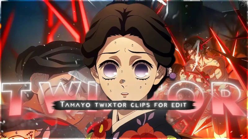 Tamayo Twixtor 4K