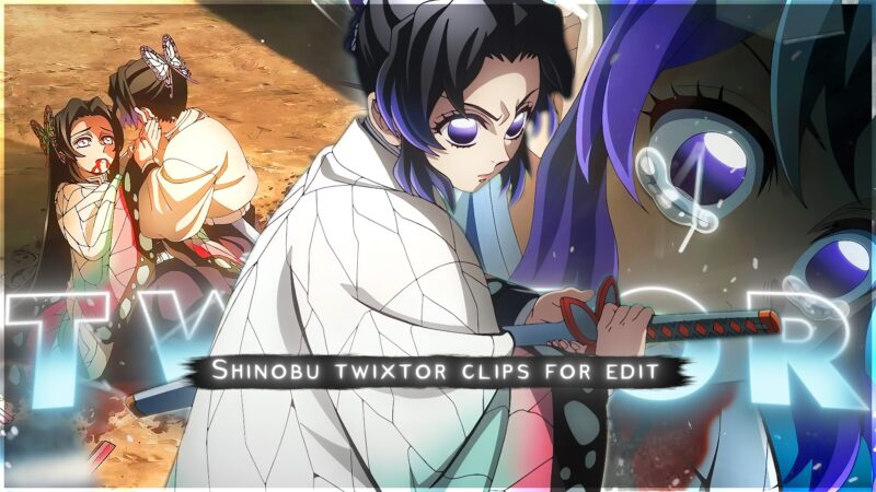 Shinobu Kocho Twixtor 4K