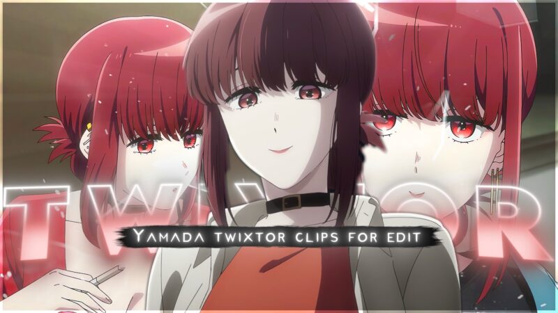 Yamada Twixtor 4K