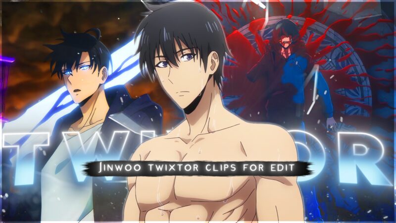 Sung Jin-Woo Twixtor 4K