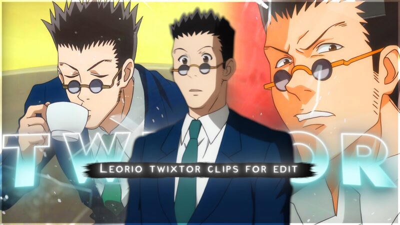 Leorio Twixtor 4K