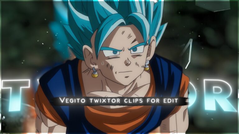 Vegito Twixtor 4K