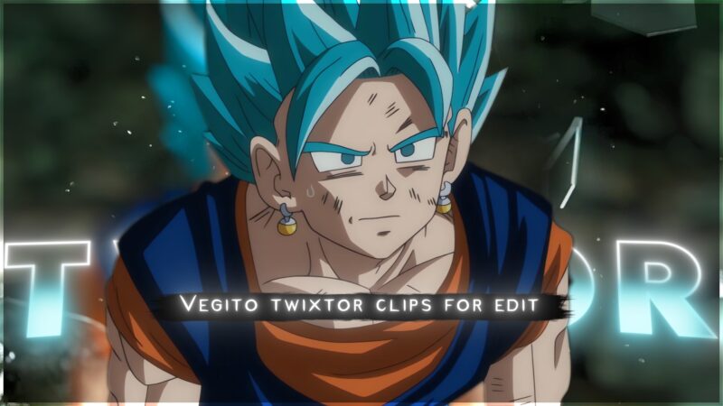 Vegito Twixtor 4K
