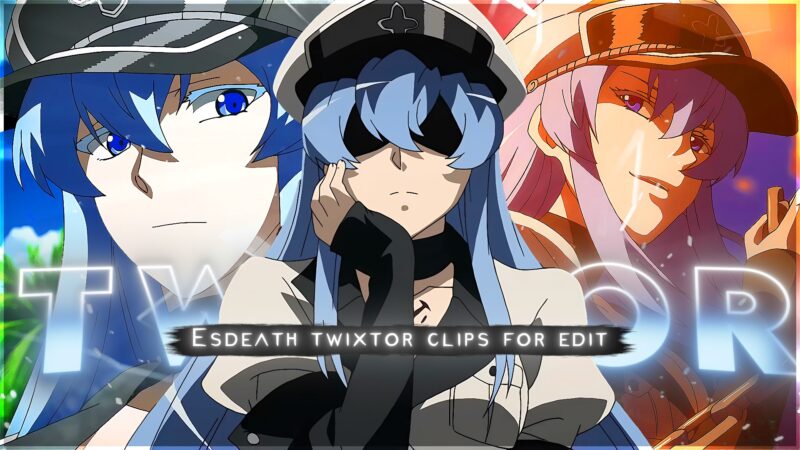 Esdeath Twixtor 4K